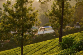 Munnar valley view